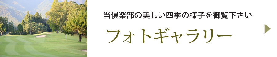 フォトギャラリー