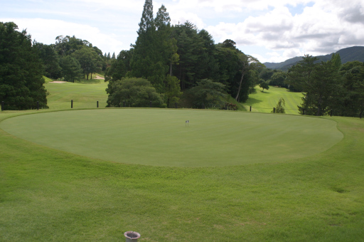 「バミューダグリーンへの切り替え」関連画像