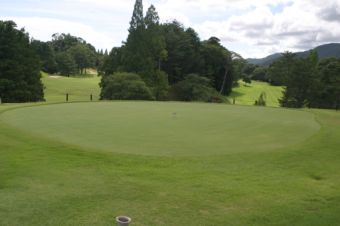 バミューダグリーンへの切り替え